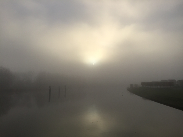 Mist