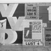 1095.jpg